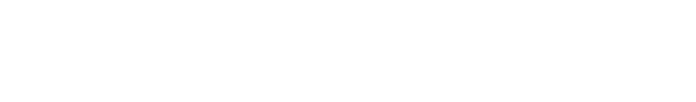 DIGITAL DATA FORENSICS